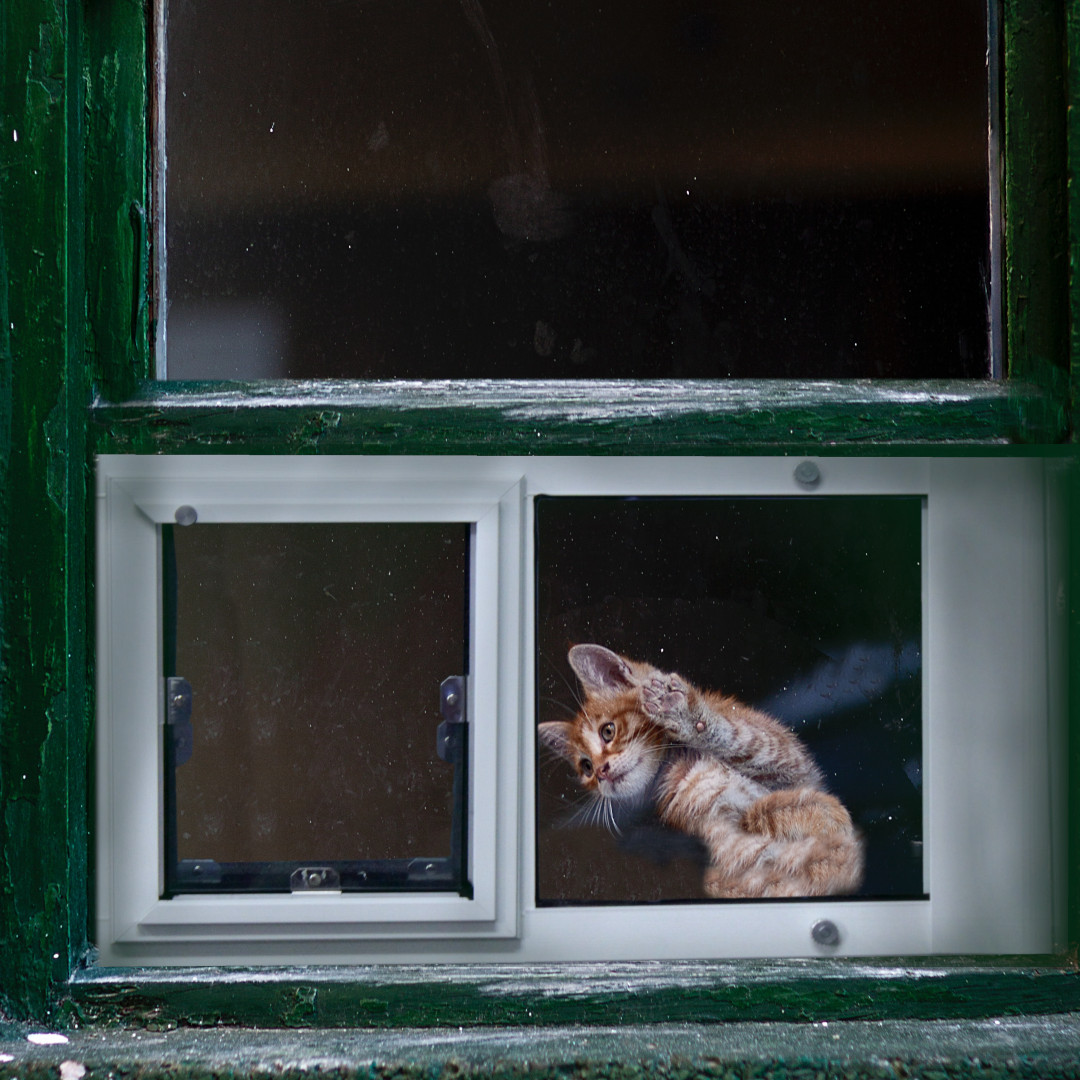 How To Install Dog Door On Screen Door